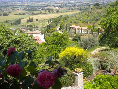Agroturismo Il Poggio Degli Olivi