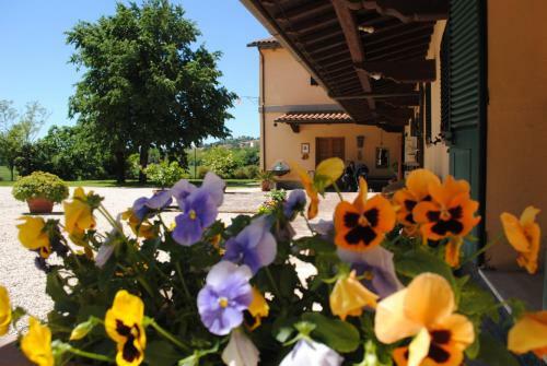 Agroturismo Agriturismo Ai Prati