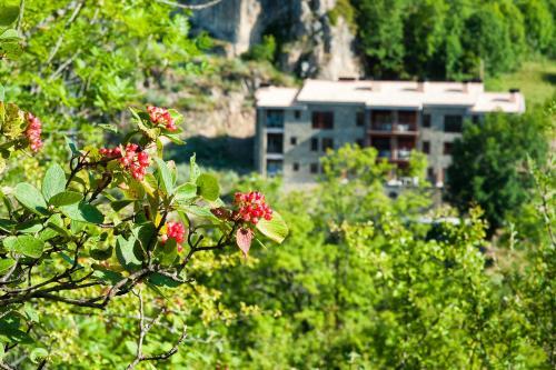 Apartaments Flor De Neu
