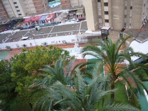 Apartamento Alhambra - Fincas Arena