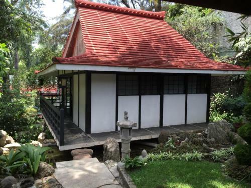 Hotel Jacarandas