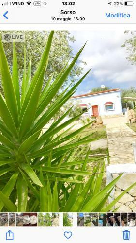 Hostal Country House Villa Di L'abbiu