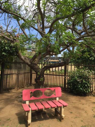 Hostal Pousada Netuno