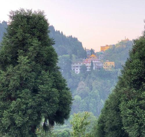 Green Tara Residency