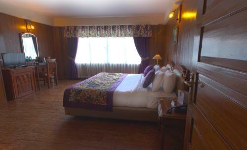 Hotel Mount Himalayan Resort
