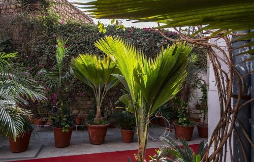 Hotel The Kothi Heritage
