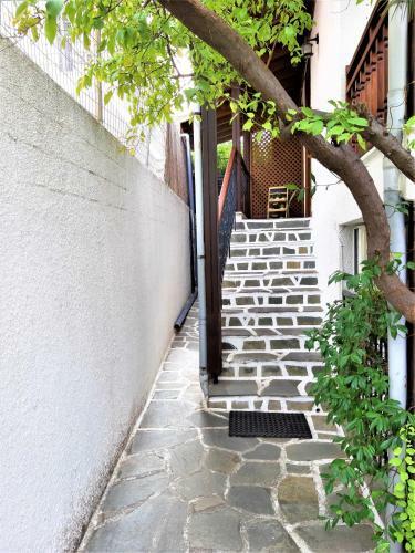 Apartamento Zefyros Studios