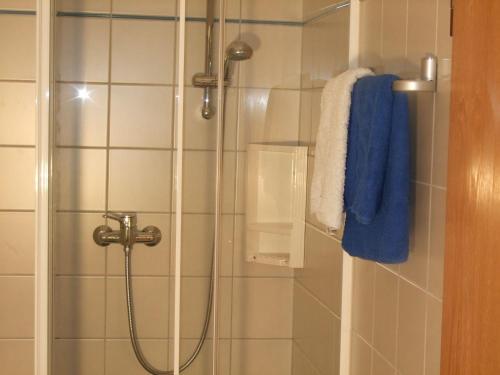 Apart-haus-florian-terrassenappartement