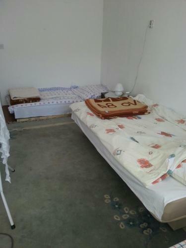 Apartman Ines