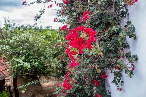 Hostal H&b Colina Do Flamboyant