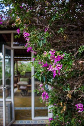 Hostal H&b Colina Do Flamboyant