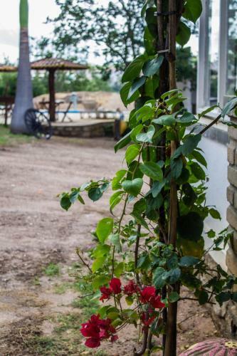 Hostal H&b Colina Do Flamboyant