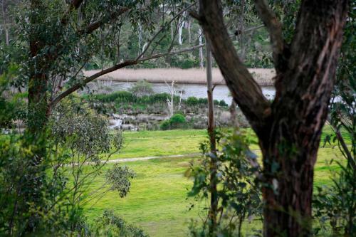 Apartamento Brodribb River Rainforest Cabins - Cabin 3