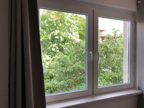 Apartamento Hanja