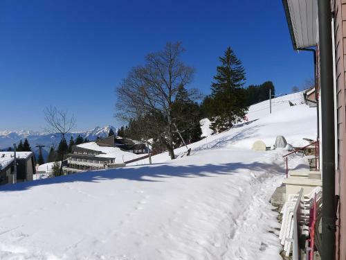 Apartment Wohnung Gr�n
