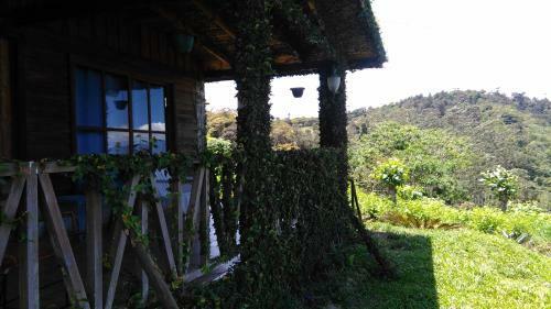 Finca Y Granja Loma Bonita