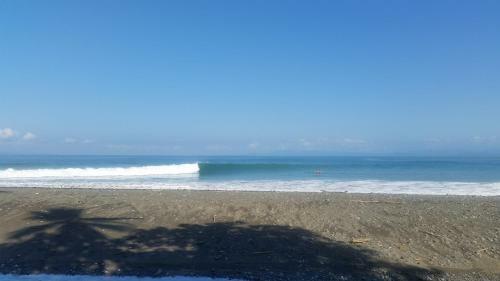 Hostal Surf House Pavones