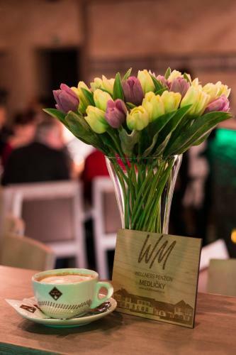 Hotel Wellness Penzion Medli?ky