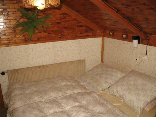 Holiday Home In Starobucke Debrne 1307