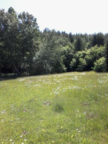 Apartm�ny Slavie/sega Trojanovice