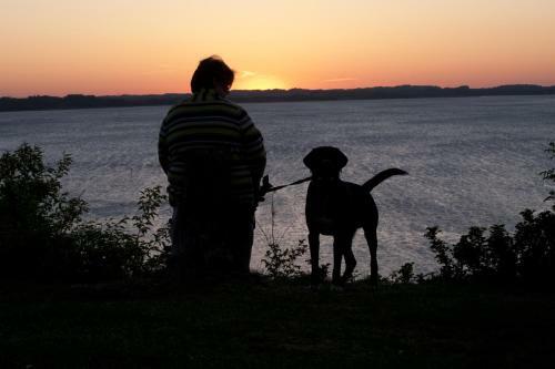 Hjarb�k Fjord Camping & Cottages