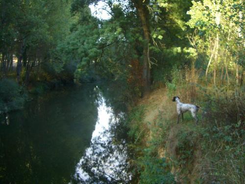 Agroturismo Complejo de Turismo Rural A Toca