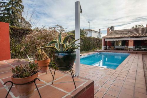 Escapada de Ensue�ovilla 5ha Cerca Sevilla-piscina
