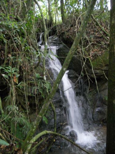 Lodge Chal�s Serrinha Do Papagaio