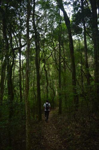 Lodge Chal�s Serrinha Do Papagaio