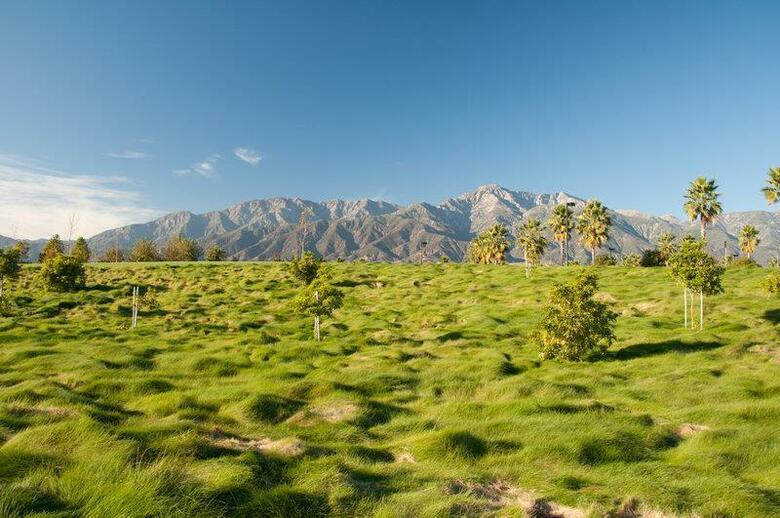 Hotel Best Western Inn At Palm Springs