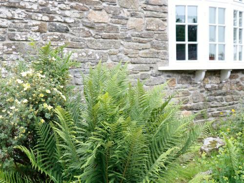 The Old Stable, Camelford