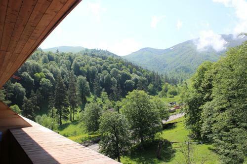 Apartamentos Bakuriani Valley