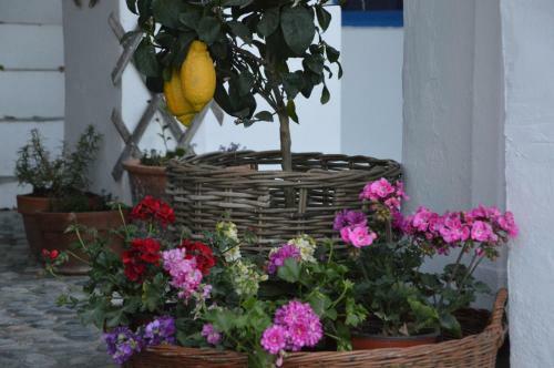 Hotel Porto Loutro On The Beach