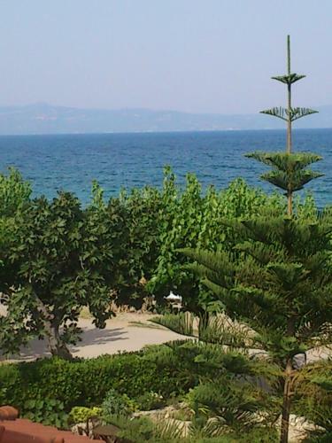 Hostal Evoikos Beach & Resort