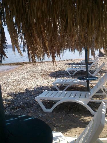 Hostal Evoikos Beach & Resort