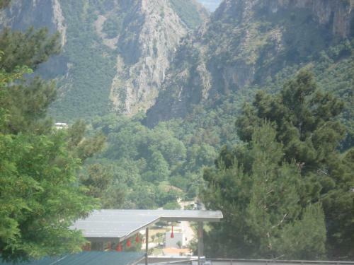 Hostal Apolis Hotel