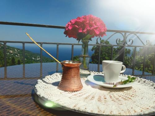 Hostal Aroma Piliou
