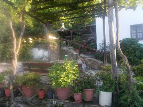 Hostal Archontiko Iatridis