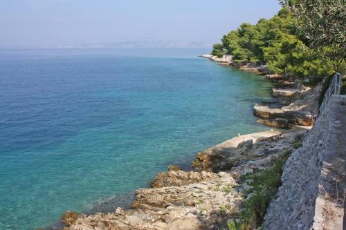 Apartments By The Sea Rogac, Solta - 8688