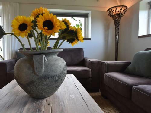 Cozy Apartment In Burgerbrug Netherlands With Meadow View