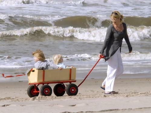 Sea Lodges Zandvoort - Pitstop 4 - One Dog Allowed