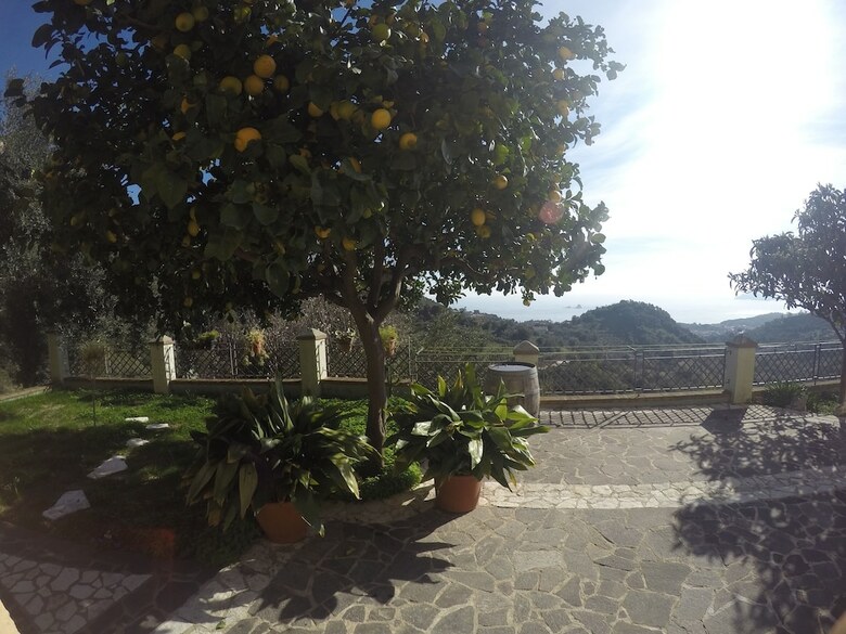 Apartamento Appartamenti Con Vista Panoramica
