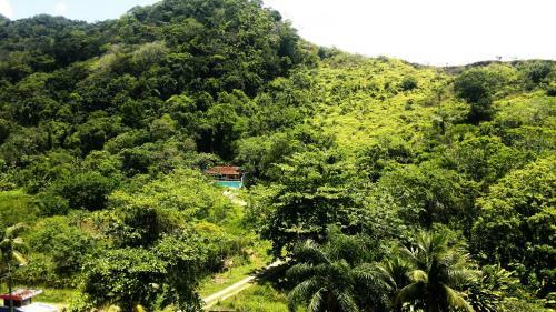 Apartamento Cobertura Em Ubatuba