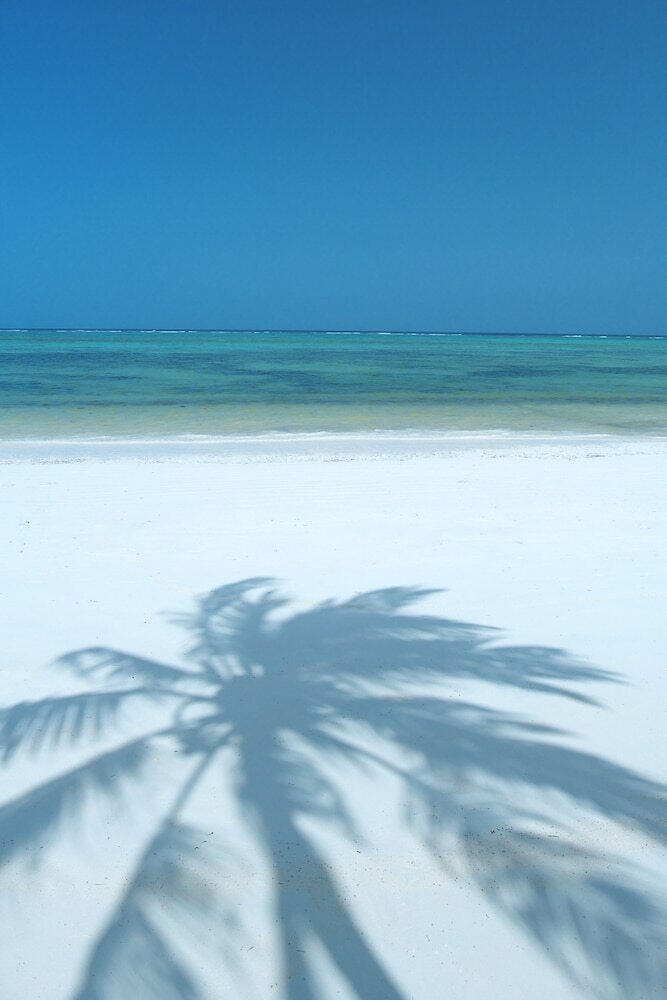 Hotel The Palms Zanzibar - All Inclusive