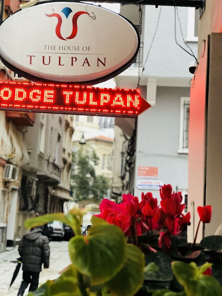 Hotel The House Of Tulpan