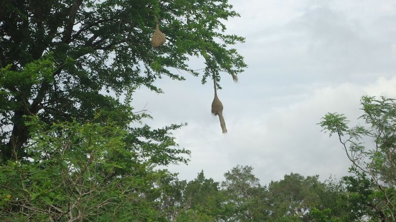 Heina Nature Resort & Yala Safari