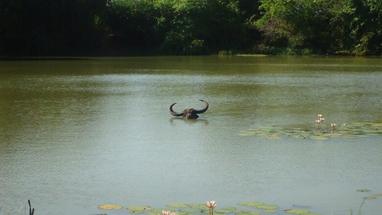 Heina Nature Resort & Yala Safari