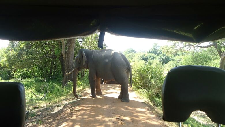 Heina Nature Resort & Yala Safari