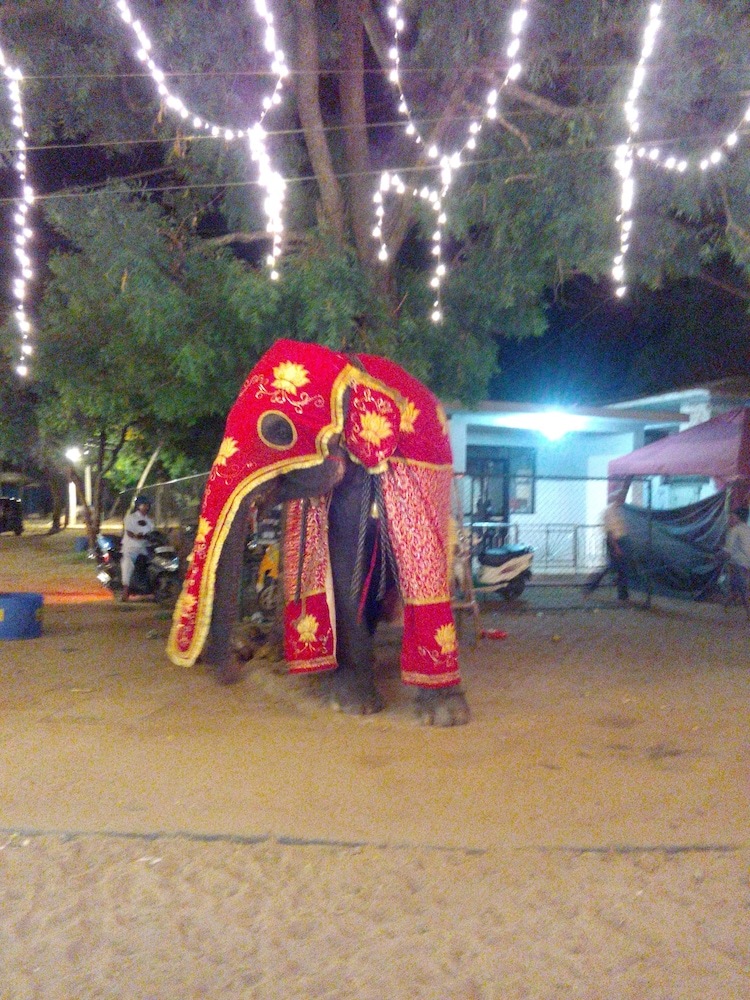 Heina Nature Resort & Yala Safari