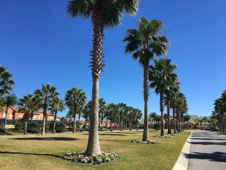 Paradise Palms Resort By Dws Vacation Villas